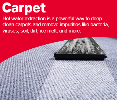 Product Carpet Banner Mobile