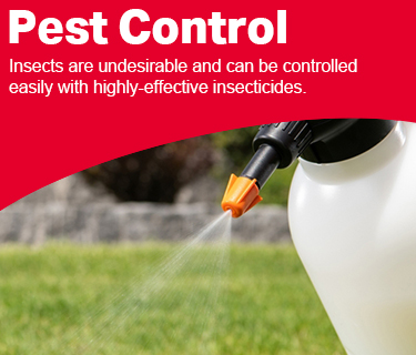 Product Pest Control Banner Mobile